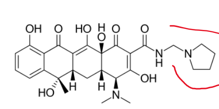 term image