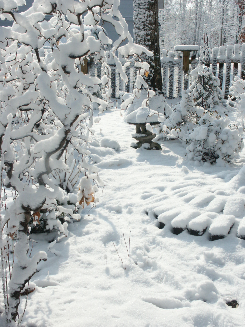 <p>to snow</p>