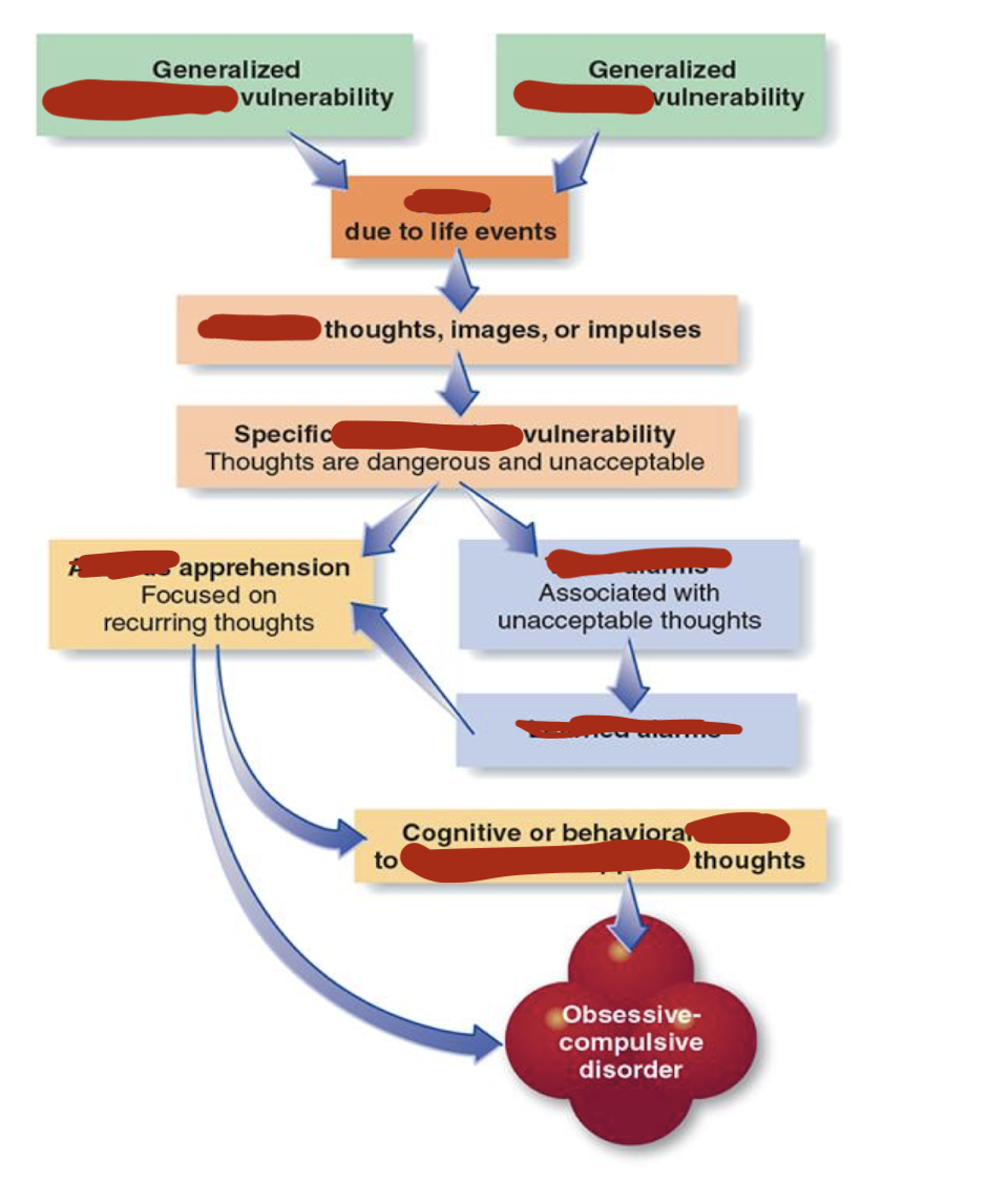 <p>Explain the model of causes of OCD</p>