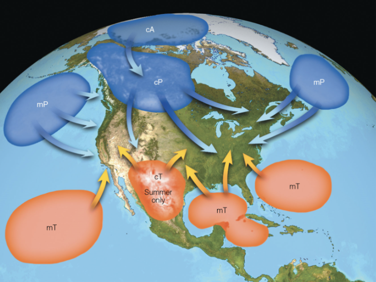 <p>North American air masses:</p>