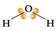 <p>strong, short, low due to unequal pull b/c it has less “potential”/likely to break</p>