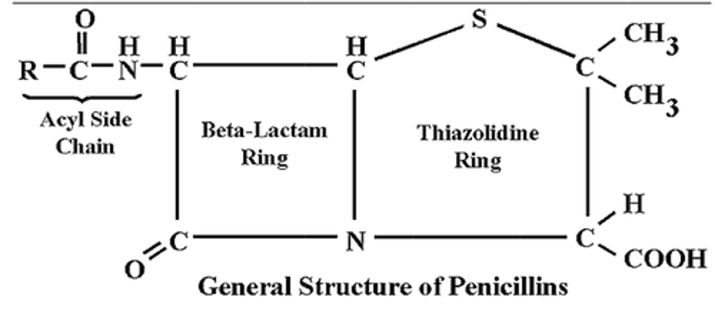 <p>3 carbon, 1 nitrogen ring</p>