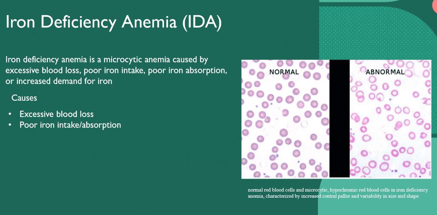 <p> Microcytic hypochromic</p>