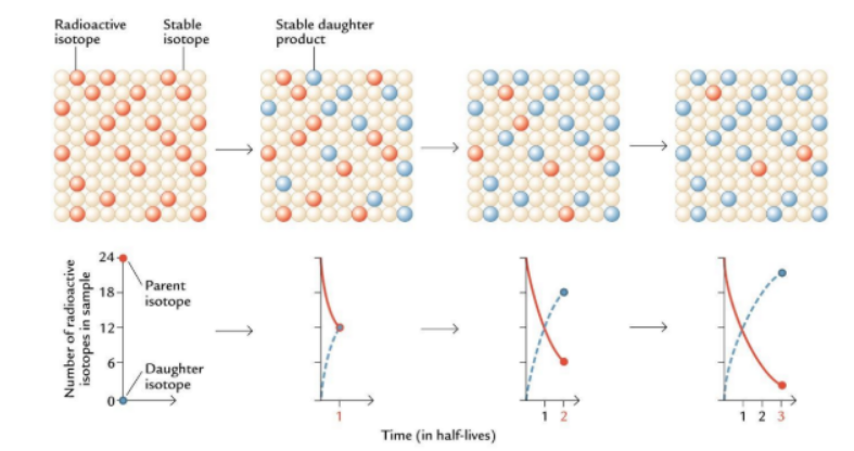 <p>Radioactive decay: Look at the half-life of radio isotopes</p><p>Scientists use multiple archives that complement one another </p>