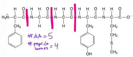 <p># of AA’s - 1 </p><p></p>