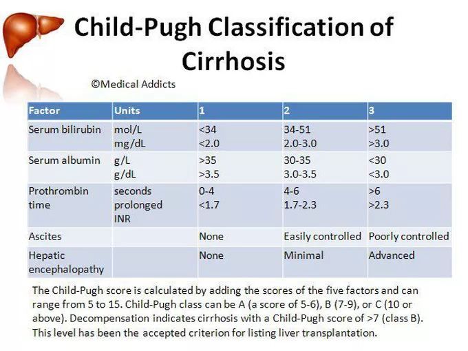 <p><span style="color: yellow;"><strong>Child-Pugh staging</strong></span></p><p>class A is lower risk, </p><p>B intermediate, </p><p>C very high risk</p>