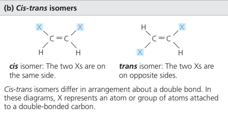 <p>A double-bond isomer where the two reference groups are on opposite sides</p>