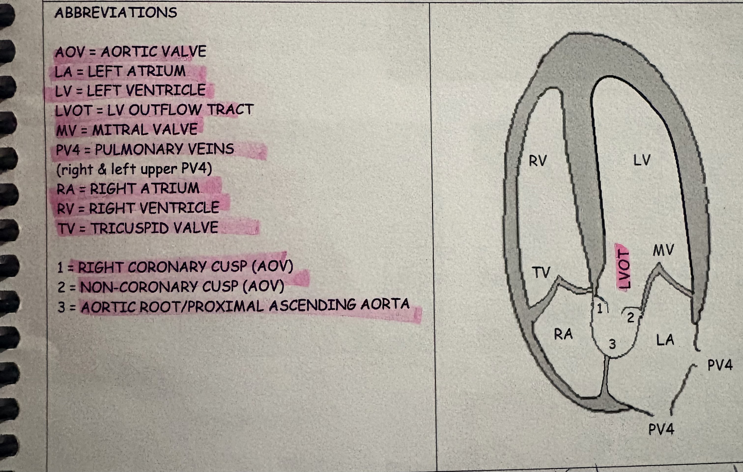 knowt flashcard image