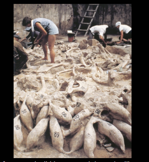 <p>What is this?</p>