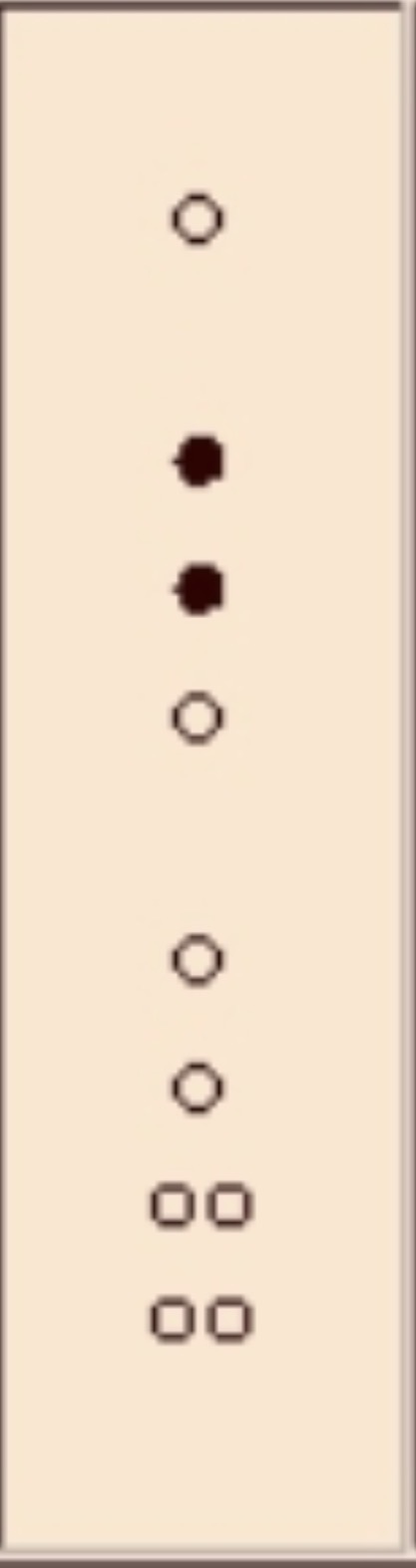 knowt flashcard image