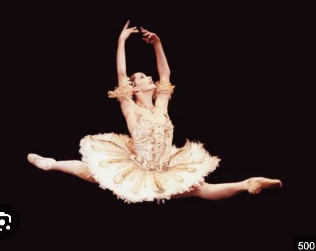 <p>What plane and axis does this ballerina move in?</p>