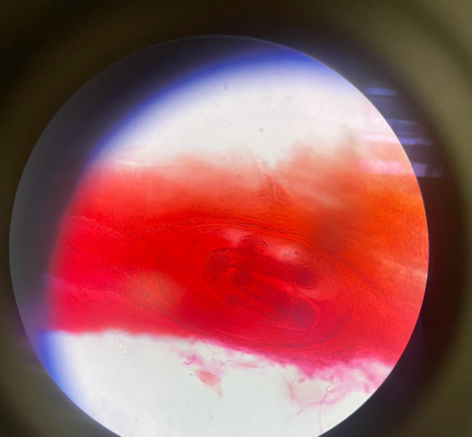 <p>What is this?</p>