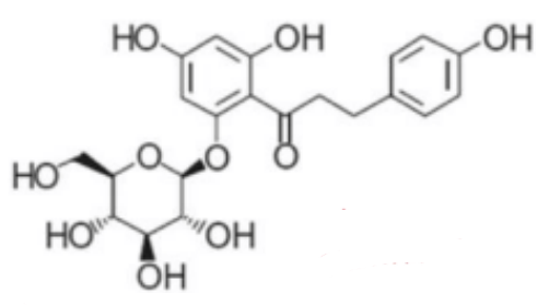 <p>How does this drug help in the treatment of diabetes</p>