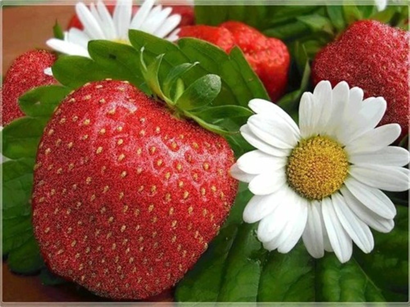<p>июнь</p>