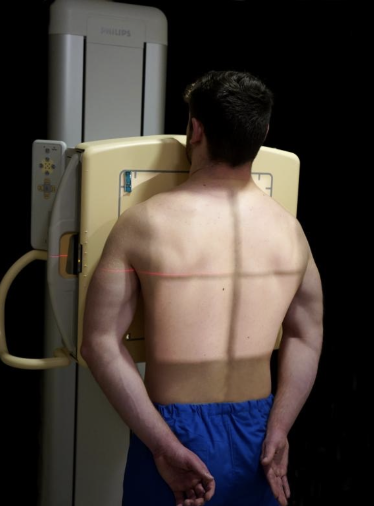 <p><strong>Entire lung fields</strong> from the <strong>apices</strong> to the <strong>costophrenic angles</strong>.</p>