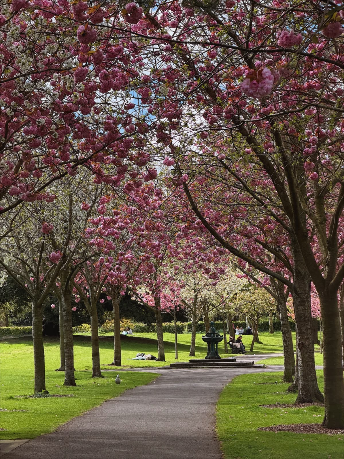 <p>Park</p>