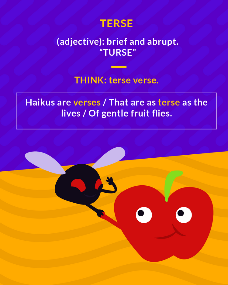 <p>brief and to the point</p><p>(adj.) brief and abrupt</p>
