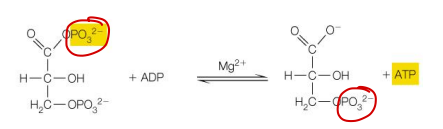 <p>This reaction is </p>