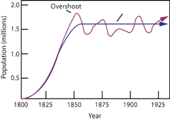 <p>The number of individuals the environment can support over a long period of time.</p>