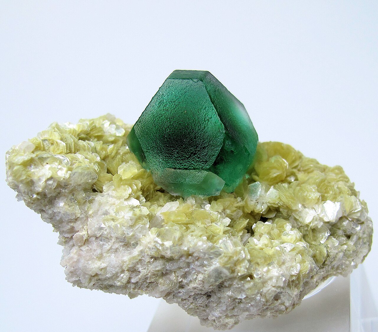 <p>Flourite</p>