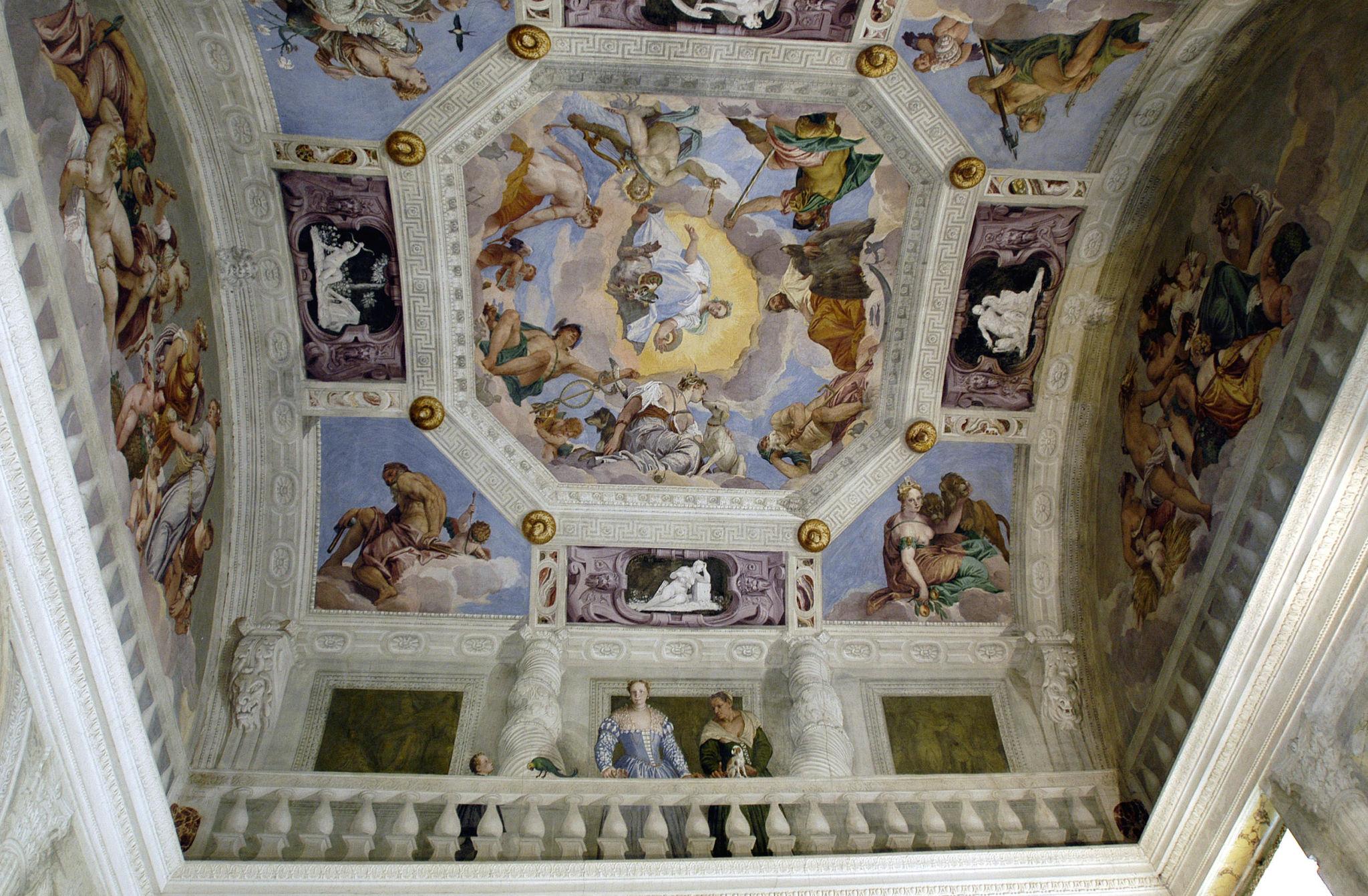 term image