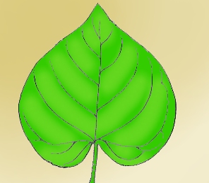 <p>heart-shaped</p>