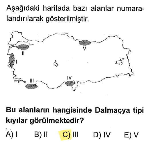 <p>Dalmaçya kıyı tipi, dağların denize paralel uzandığı yerlerde deniz seviyesinin yükselmesiyle oluşur. Türkiye'de sadece <strong>Antalya-Kaş-Finike</strong> kıyılarında görülür.</p>