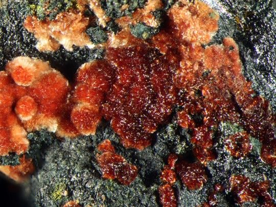 <p>Which of the following minerals is a zinc-vanadium hydrated anthropogenic mineral that was first identified in mine waters at the Blue Cap Mine near Moab, Utah, officially approved in 2007, and would not exist if it were not for mine waste waters flowing through tailings piles?</p>