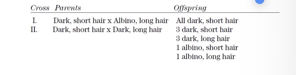 <p><em>Directions</em>: Each group of questions below concerns an experimental or a laboratory situation. In each case, first study the description of the situation. Then choose the one best answer to each question following it.</p><p>In dogs, one pair of alleles determines coat color (dark and albino). Another pair of alleles determines hair length (short and long). Thus, each gamete will contain one of the coat-color alleles, <em>C</em> or <em>c</em> and one of the hair-length alleles, <em>B</em>or <em>b</em>. In repeated crosses of a specific dark, short-haired dog with an albino, long-haired dog, all the offspring were dark with short hair, as shown in cross I. However, in subsequent crosses of another dark, short-haired dog with a dark, long-haired dog, the ratios shown in cross II below were obtained.</p><p><br><span>In cross II, the genotype of the dark, short-haired parent is</span></p>