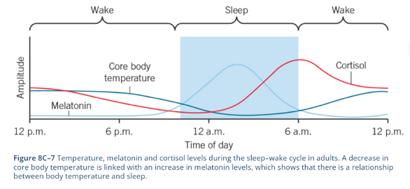<p><span style="font-family: Aptos, sans-serif;">The degree of external heat in the environment that can influence both quality and quantity of sleep.</span><span><strong> </strong></span><span style="font-family: Aptos, sans-serif;">Body temperature is a biological mechanism regulated on a 24-hour circadian rhythm, controlled by the suprachiasmatic nucleus. Body temperature begins to decrease in the early evening, with sleep onset occurring when core body temperature is at its greatest rate of decline. An increase in blood flow to the skin results in skin warming and so heat is lost from the body and body temperature drops. The lowest body temperature occurs at about 2 hours after sleep onset.<strong> </strong></span><span>Suggested link between a cool room temp and experiencing improved quality and quantity of sleep - Research has determined that the ideal room temperature for sleep onset is 19–21°C BUT the ideal skin and bed microclimate is 31–35°C during sleep. This means that the combination of a cool room and warm bedding is an easy way that most people can promote sleep.</span><span style="font-family: Aptos, sans-serif;"> These strategies may be of particular use to the elderly age group because they typically have more trouble with normal thermoregulation. </span><span>Research suggests that extreme temperatures (very high or very low) are not good for sleep quality and quantity.  </span></p>