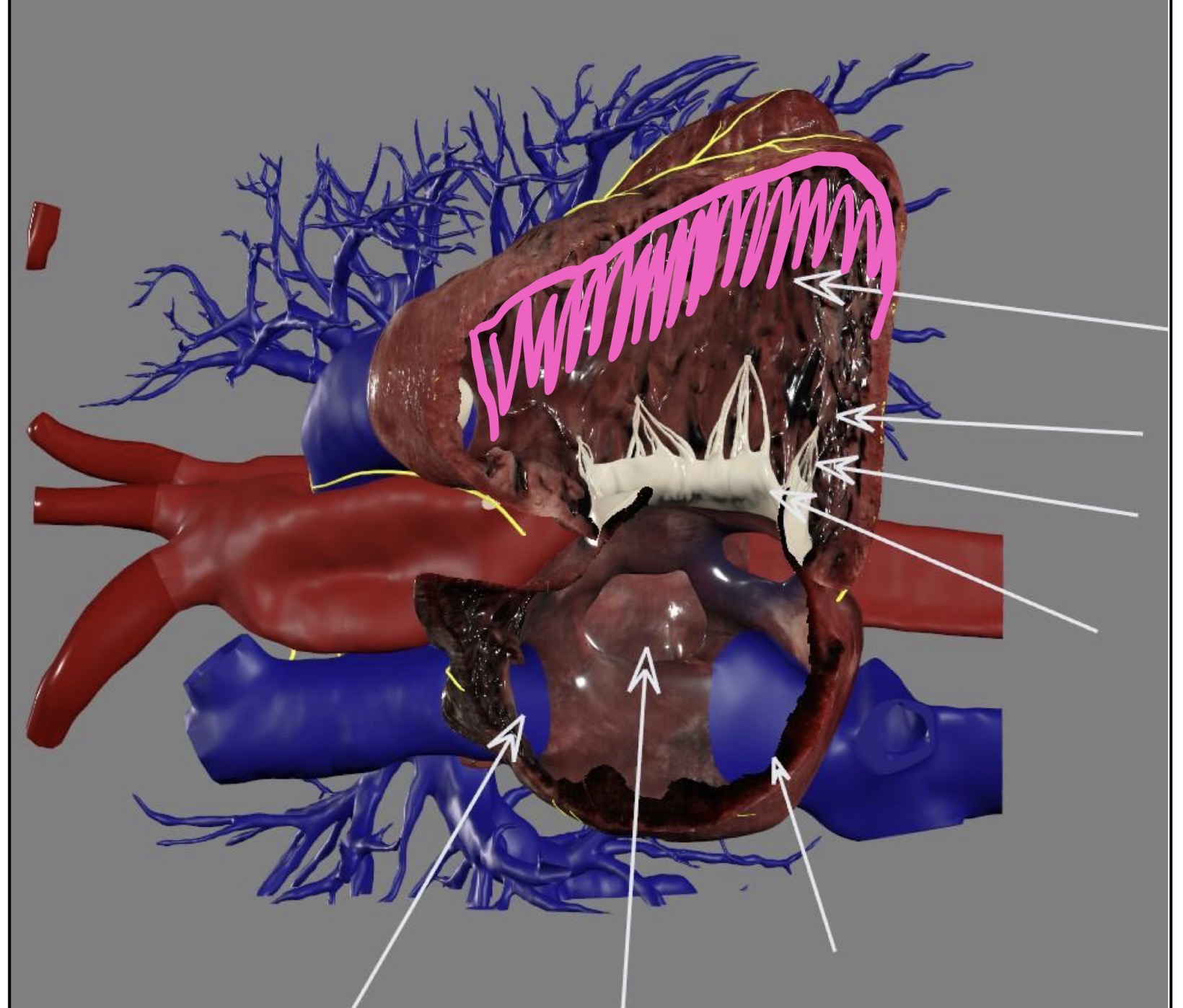 <p>What’s the highlighted area?</p>
