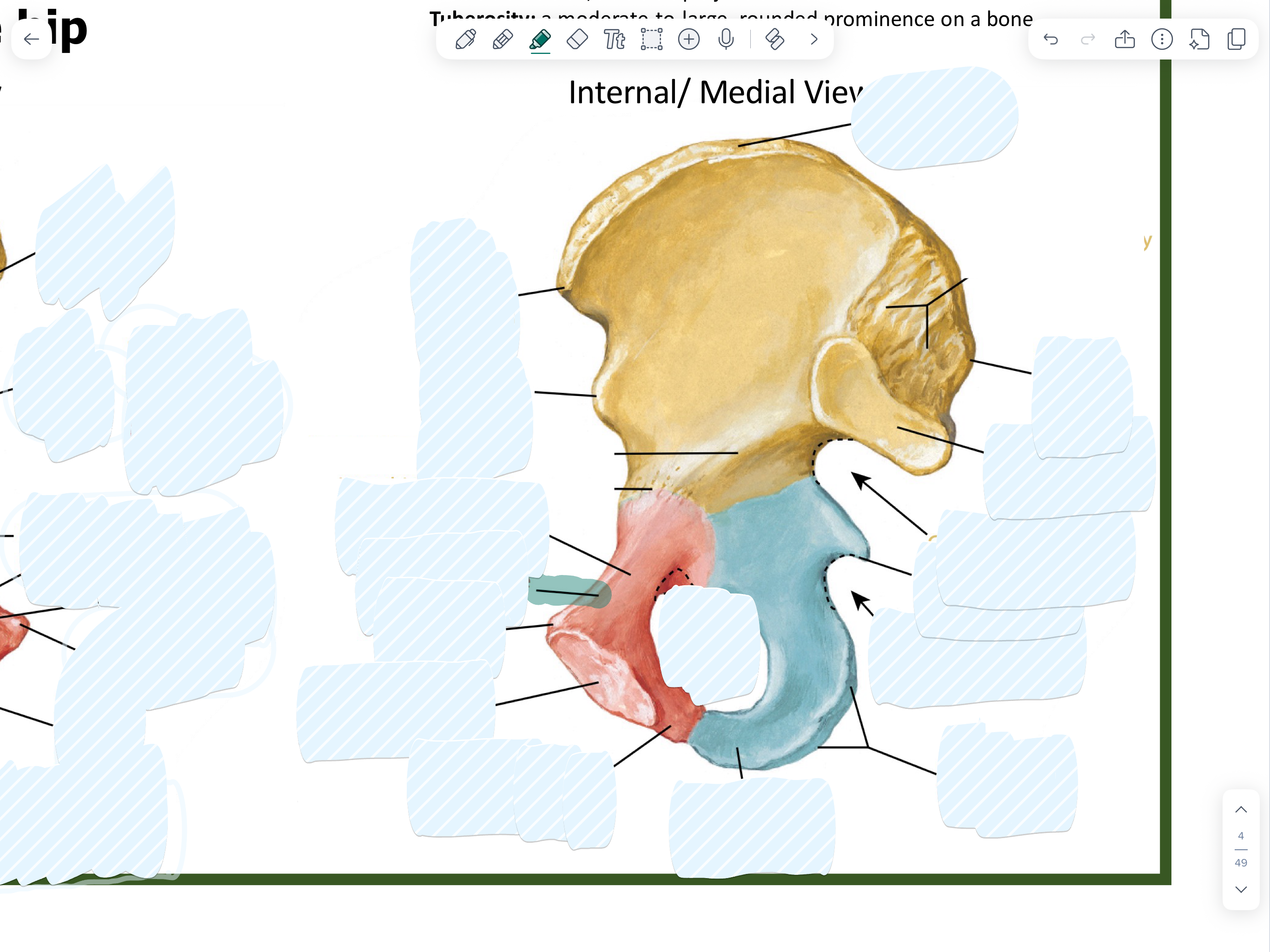 knowt flashcard image