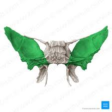 <p>what is this ? R/L</p>