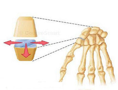 <p>A synovial joint with the least amount of movement, such as intercarpal joints.</p>
