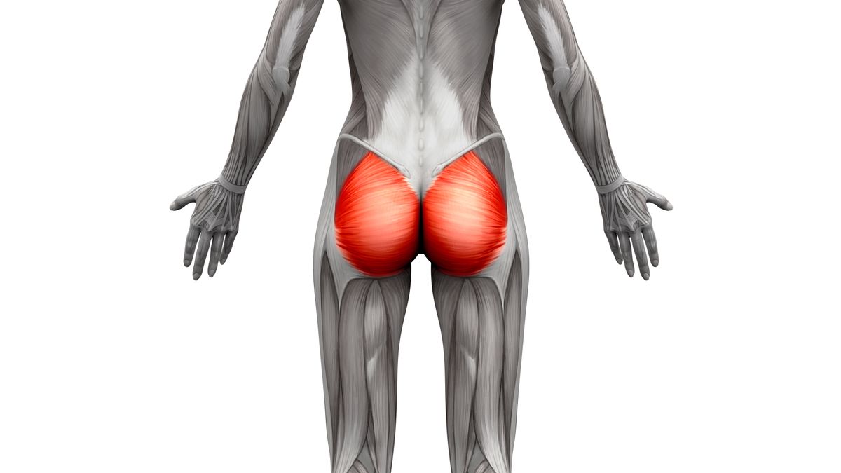 <p>anal </p>
