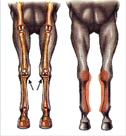 <p>what is this an image of</p>