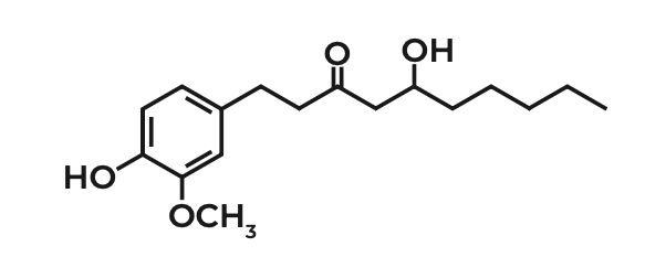 <p>Phenol Application to pharmacy</p><p>a. Gingerol</p><p>b. Hesperidin</p><p>c. Vanillin</p>