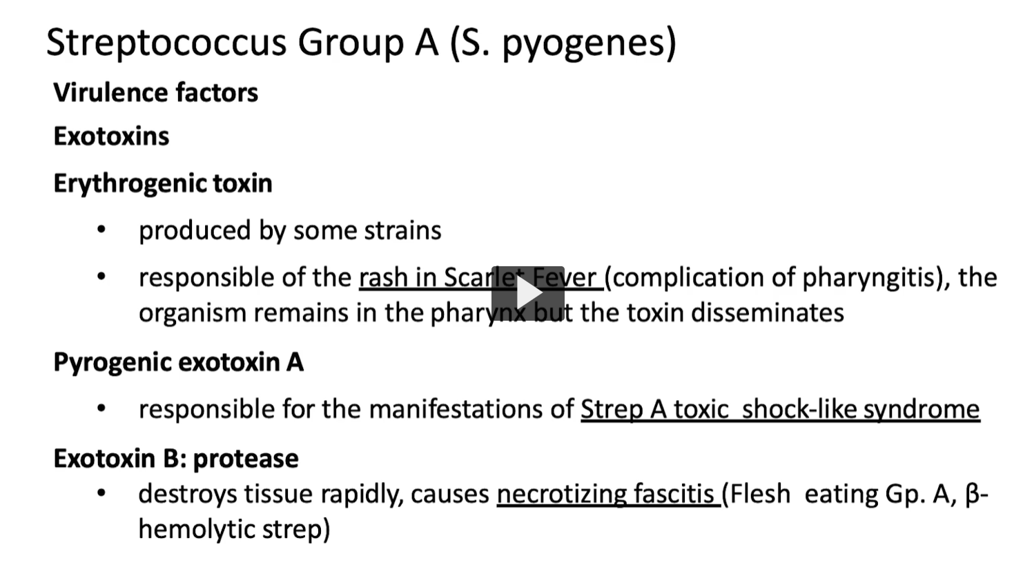 <p><em>S. pyogenes</em> produces <strong>exotoxins</strong> that:<br><span data-name="point_right" data-type="emoji">👉</span> Spread beyond the throat/skin<br><span data-name="point_right" data-type="emoji">👉</span> Cause <strong>systemic disease</strong> (rash, shock, tissue destruction)</p><div data-type="horizontalRule"><hr></div><p><span data-name="red_circle" data-type="emoji">🔴</span> <strong>1. Erythrogenic toxin (Pyrogenic exotoxin)</strong> <span data-name="book" data-type="emoji">📖</span> What it does </p><ul><li><p>Causes the <strong>rash of scarlet fever</strong></p></li></ul><p> <span data-name="brain" data-type="emoji">🧠</span> Mechanism </p><ul><li><p>Acts as a <strong>superantigen</strong> → massive cytokine release</p></li><li><p>Leads to:</p><ul><li><p>Fever</p></li><li><p>Red “sandpaper” rash</p></li><li><p><strong>Strawberry tongue</strong></p></li></ul></li></ul><p> <span data-name="warning" data-type="emoji">⚠</span> Key idea </p><ul><li><p>Bacteria stay in the <strong>pharynx</strong></p></li><li><p>But toxin <strong>spreads through bloodstream</strong></p></li></ul><p><span data-name="point_right" data-type="emoji">👉</span> Disease = toxin-mediated, not direct invasion</p><div data-type="horizontalRule"><hr></div><p><span data-name="high_voltage" data-type="emoji">⚡</span> <strong>2. Pyrogenic Exotoxin A (SpeA)</strong> <span data-name="book" data-type="emoji">📖</span> What it does </p><ul><li><p>Causes <strong>Strep toxic shock–like syndrome</strong></p></li></ul><p> <span data-name="brain" data-type="emoji">🧠</span> Mechanism </p><ul><li><p><strong>Superantigen</strong></p></li><li><p>Activates huge numbers of T-cells → <strong>cytokine storm</strong></p></li></ul><p> <span data-name="boom" data-type="emoji">💥</span> Results </p><ul><li><p>High fever</p></li><li><p>Hypotension</p></li><li><p>Multi-organ failure</p></li></ul><p><span data-name="point_right" data-type="emoji">👉</span> Very similar to <em>S. aureus</em> TSST-1</p><div data-type="horizontalRule"><hr></div><p><span data-name="skull" data-type="emoji">💀</span> <strong>3. Exotoxin B (SpeB)</strong> <span data-name="book" data-type="emoji">📖</span> What it is </p><ul><li><p>A <strong>protease enzyme</strong></p></li></ul><p> <span data-name="brain" data-type="emoji">🧠</span> What it does </p><ul><li><p><strong>Breaks down proteins in tissue</strong></p></li><li><p>Rapidly destroys:</p><ul><li><p>Fascia</p></li><li><p>Muscle</p></li></ul></li></ul><p> <span data-name="warning" data-type="emoji">⚠</span> Clinical effect </p><p><span data-name="point_right" data-type="emoji">👉</span> <strong>Necrotizing fasciitis (“flesh-eating disease”)</strong></p><ul><li><p>Extremely fast spreading</p></li><li><p>Severe pain</p></li><li><p>Tissue death (necrosis)</p></li></ul><p></p>