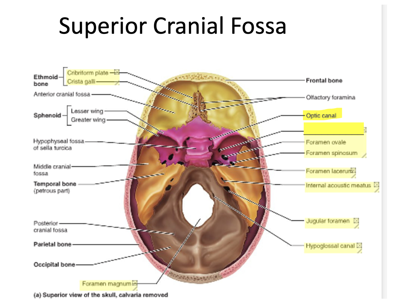 knowt flashcard image
