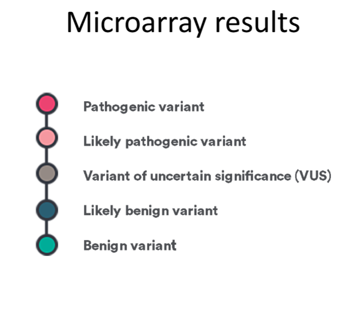 <p>*****HOW ARE COPY NUMBER VARIANTS INTERPRETED?</p>