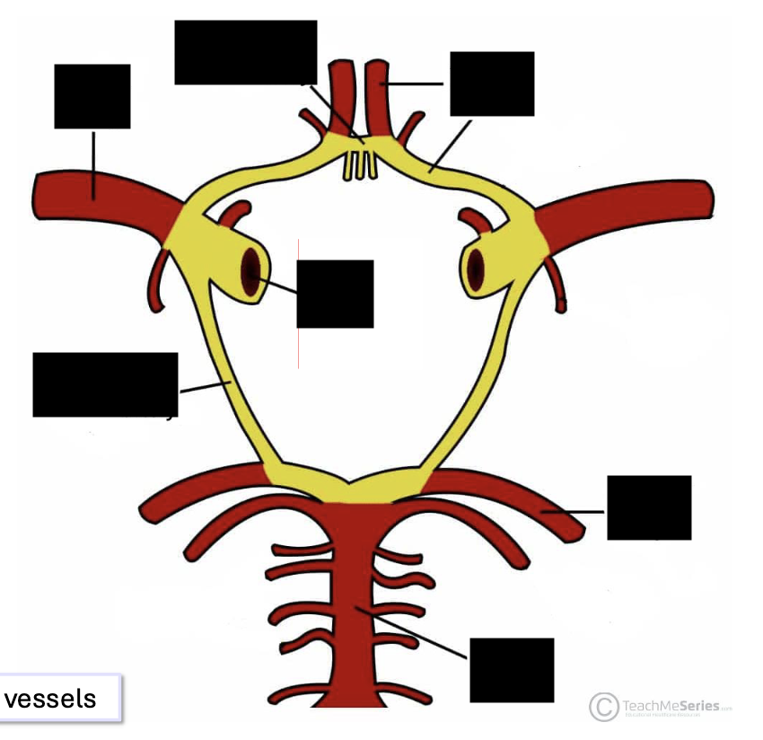 <p>label. this anastomosis is called what?</p>