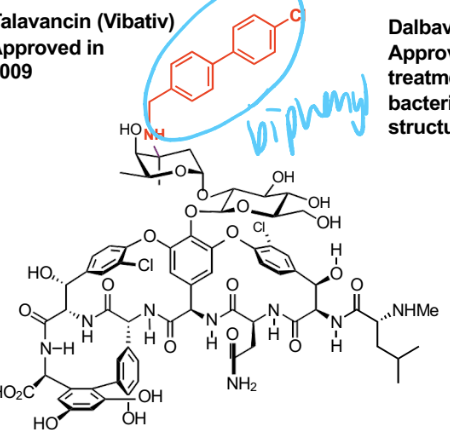 <p>Biphenyl structure</p><p>Vancomycin analogue (more lipophilic, can penetrate both gram NEGATIVE and positive)</p>