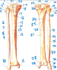 <p>1</p>