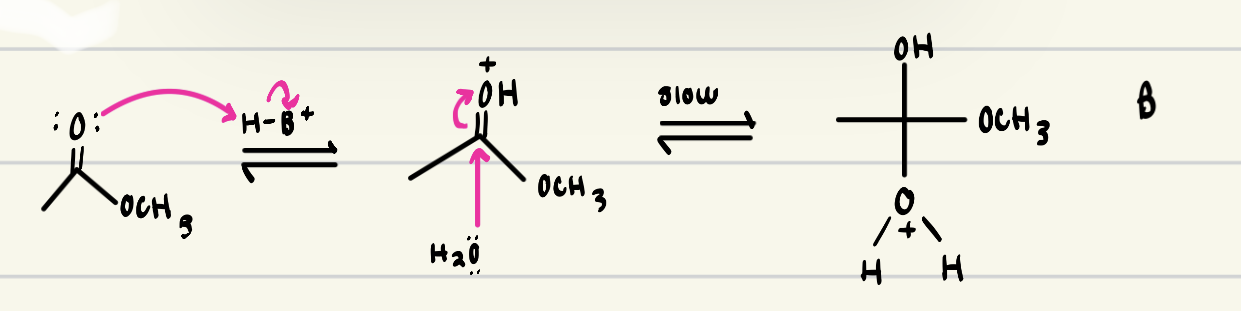 <p>is this the first slow step of specific or general acid?</p>