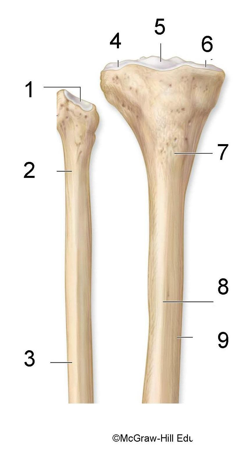 <p>What is identified in the photo (#1–#9)</p>