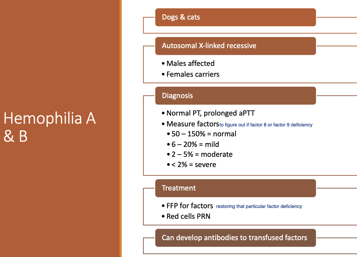 <p>FFP for factors.</p><p>Red cells PRN.</p><p>(Can develop Ab's to transfused factors)</p>