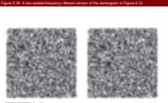 <p>d. The disparity constraint</p>