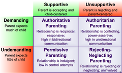 <p>A parenting style that encourages the child to be independent but that still places limits and controls on behavior.</p>