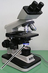 <p>What part of the microscope does the arrow indicate</p>