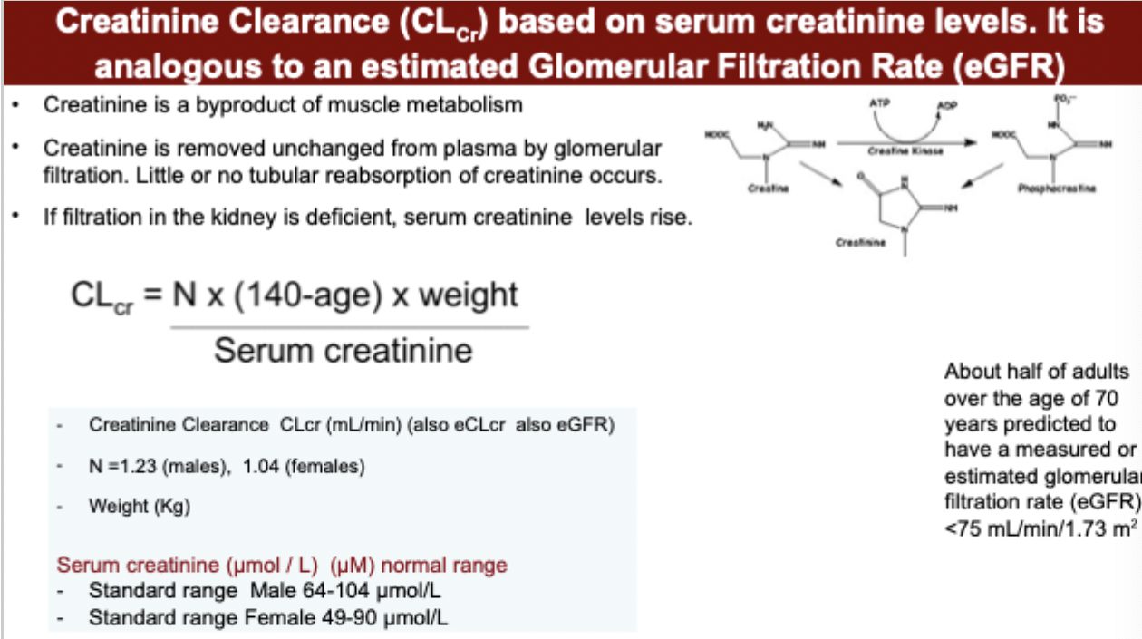 <p>creatinine clearance calculator</p>